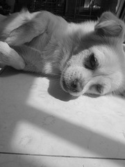 IMG_0336_副本.jpg