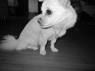 IMG_0913_副本.jpg