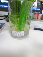 IMG_1434_副本.jpg