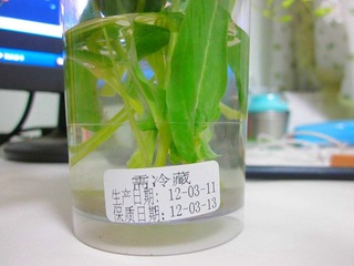 IMG_1439_副本.jpg