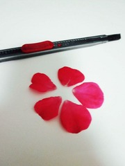 IMG_1441_副本.jpg