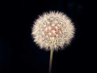 IMG_1971_副本.jpg