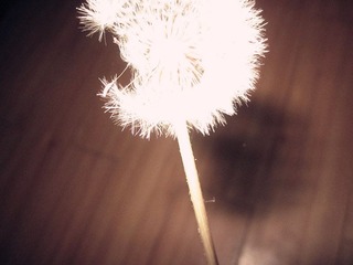 IMG_1984_副本.jpg