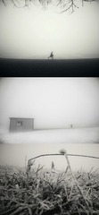 2 沧海一粟 (2)1.jpg