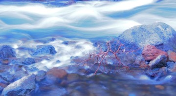 P7100271fb11.jpg