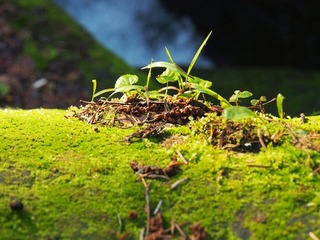 P7108833fb.jpg