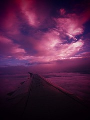 P7110567fb.jpg