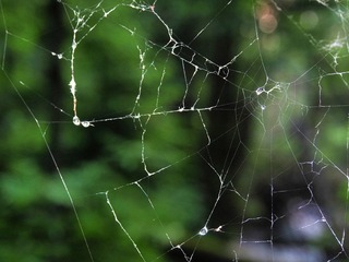 P7108910fb.jpg