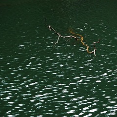P7110315fb.jpg