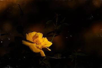 L1610356-恢复的-恢复的.jpg