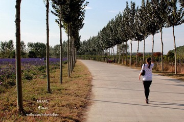 IMG_8597ps.jpg