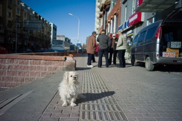 L1115039.jpg