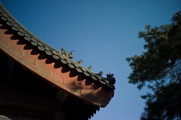 L1115262.jpg
