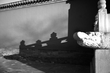 L1115183.jpg