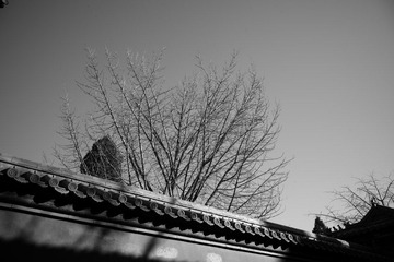L1115231.jpg