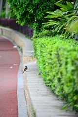 DSC_2674.jpg