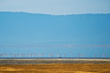 DSC_8459_1.jpg