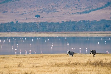 DSC_8475_1.jpg