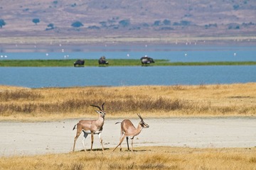 DSC_8532.jpg