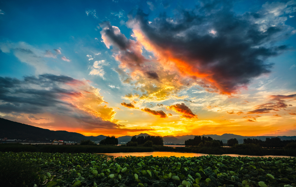 滇池落霞荷塘夕阳摄于云南昆明海埂大坝