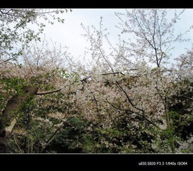 P3270524q