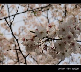 P3270527q