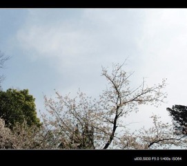 P3270560q