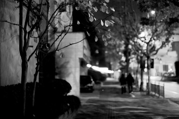 DSC00631-编辑