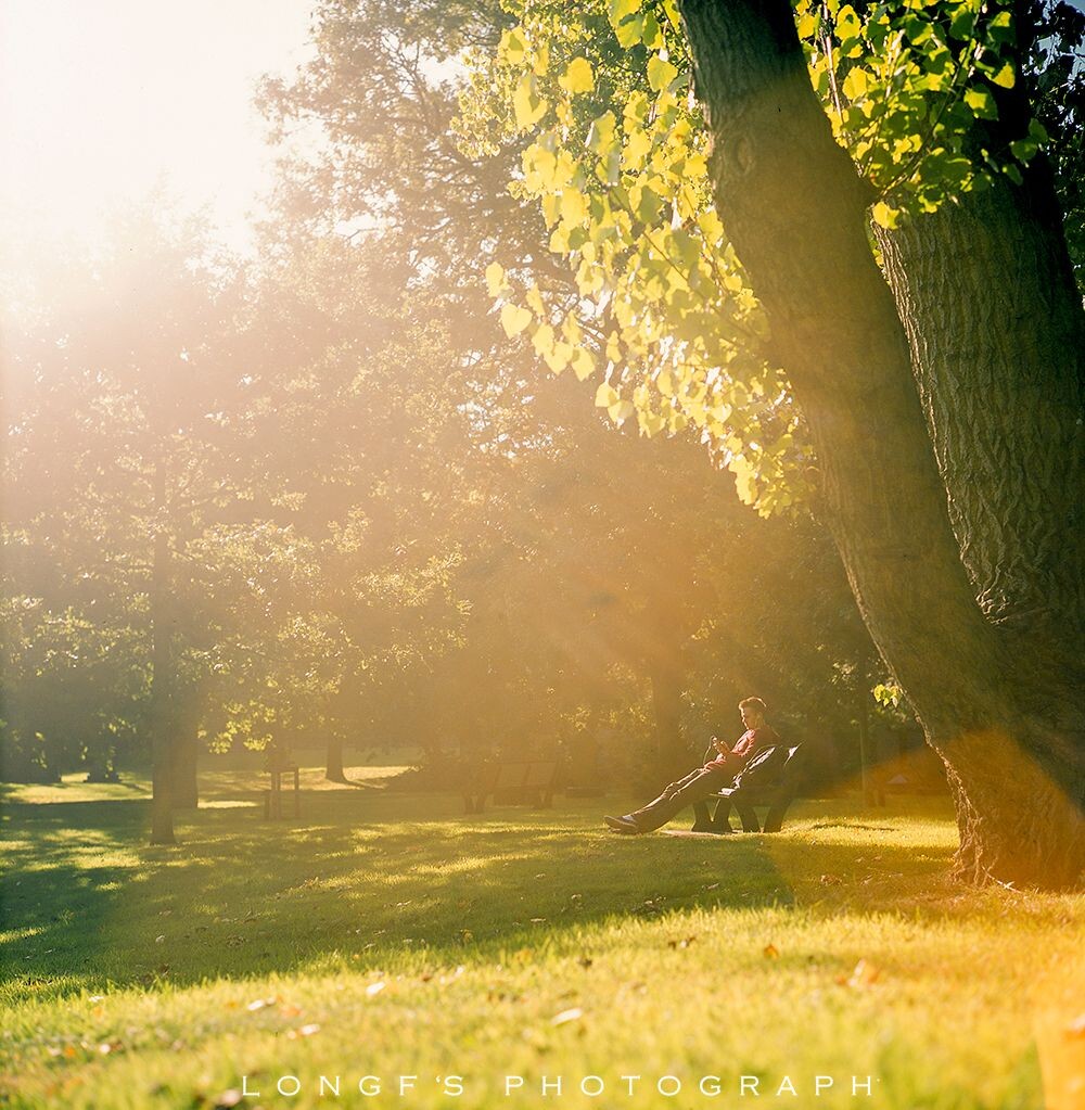 #Rollei 80 F2.8#Velvia50<a href="https://tuchong.com/tags/120/" target="_blank">#120</a>#