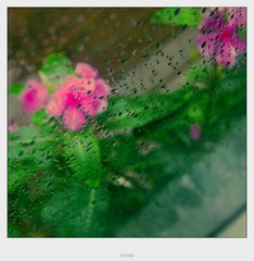 那花
