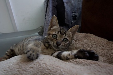 IMG_6947.jpg