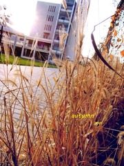 DSCF3103.jpg