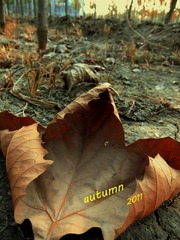 DSCF3121.jpg