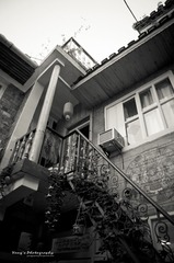 YANG0005.jpg
