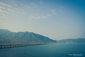 YANG0123.jpg