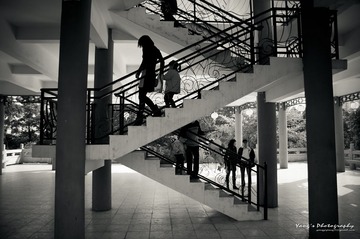 YANG0020.jpg