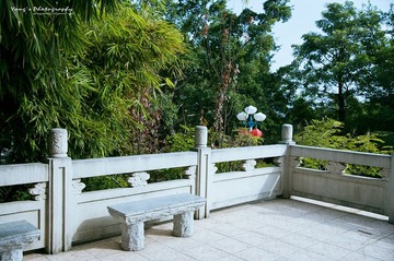 YANG0021.jpg