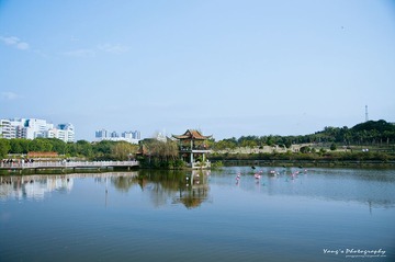 YANG0044.jpg