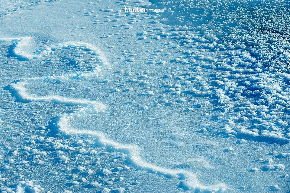 山岭和灌木<br />
我就像是在航拍，冬季山岭和树林。雪落山野，多么宁静的情绪。