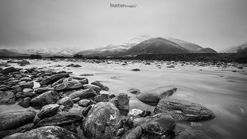 _DSC7979.jpg