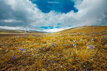 _DSC8044.jpg