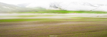 _DSC8029.jpg