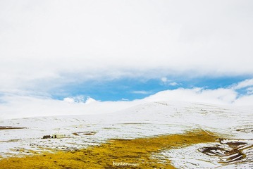 _DSC8055.jpg