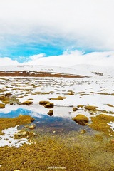 _DSC8061.jpg