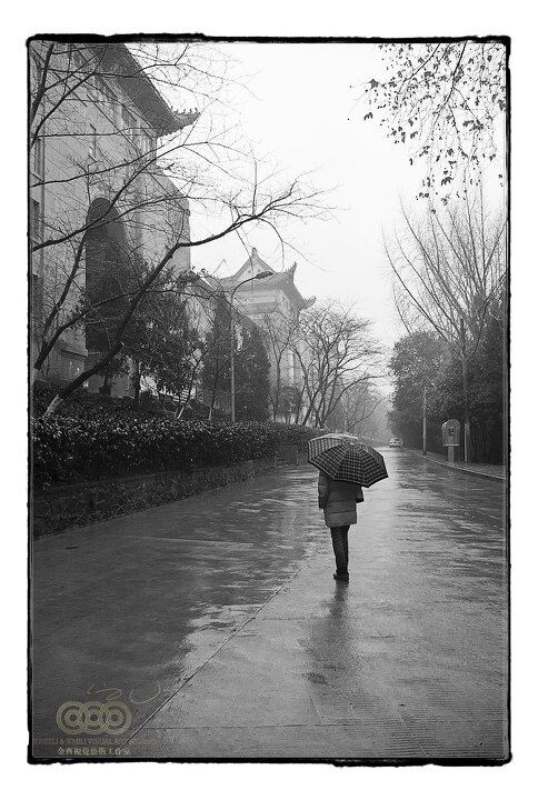 2005年2月13日，武汉大学樱园<br />
Wuhan, Feb. 13, 2005