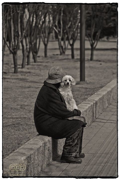 2011年3月13日，北京通州<br />
Beijing, Mar. 13, 2011