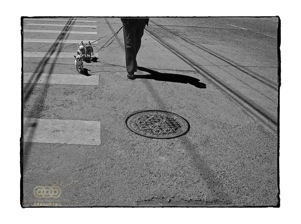 2007年4月13日，北京通州<br />
Beijing, Apr. 13, 2007