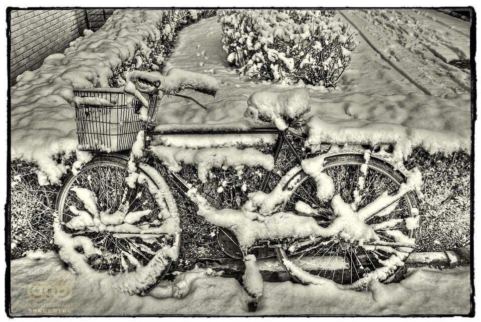 _MG_7072_3_4_tonemapped<br />
出单元门看到的第一眼雪景。HDR转黑白。