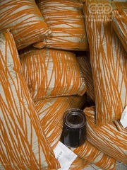 IMG_2853