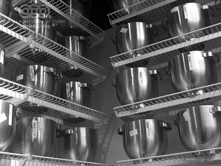 IMG_2830BW